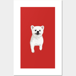 Pomeranian White Cute Puppy Dog Posters and Art